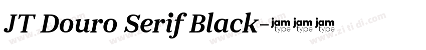 JT Douro Serif Black字体转换